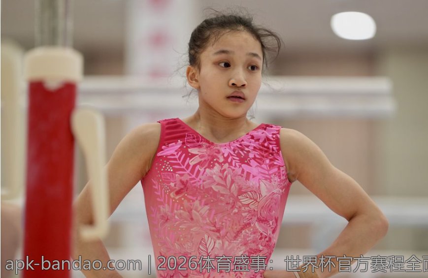 2026体育盛事：世界杯官方赛程全面公布