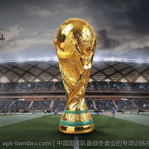 中国国家队备战冬奥会的专项训练探索
